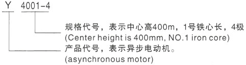 西安泰富西玛Y系列(H355-1000)高压YJTFKK4001-2三相异步电机型号说明